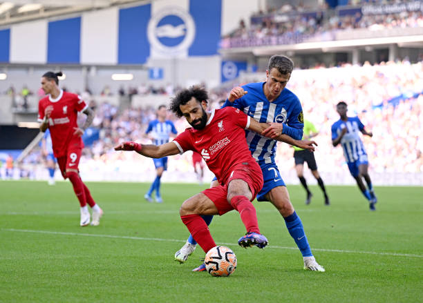 坚韧的艺术 坚韧的艺术